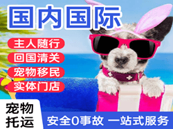 曹家堡航空物流国际宠物托运 【国
